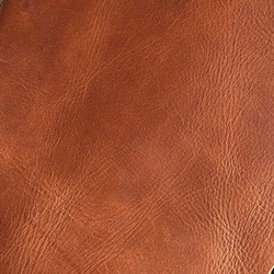 The Hide & Leather House, Inc.